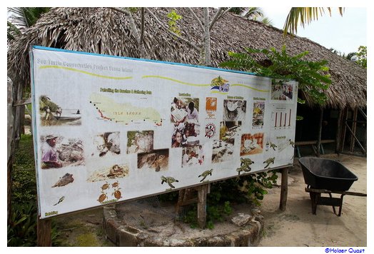 Meeresschildkrten Projekt in Mano Juan auf Saona Island