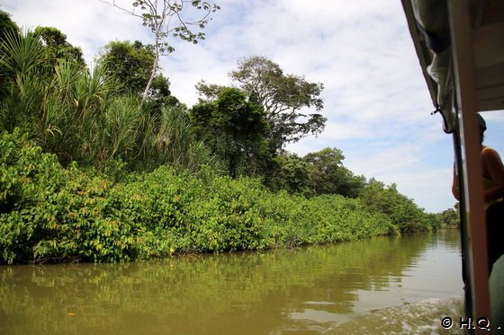 Bootsfahrt auf dem Tortuguero Kanal - Costa Rica