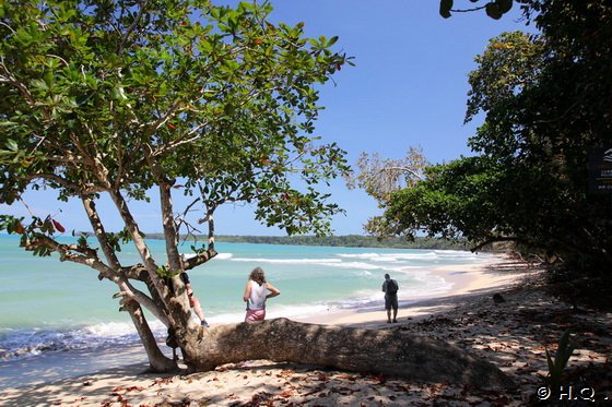 Strand im Cahuita Nationalpark Strand im Cahuita Nationalpark
