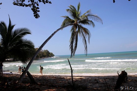 Strand Cahuita Nationalpark - Costa Rica