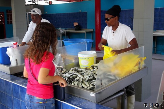 Fischverkäufer in Fort-de-France, Martinique Fischverkäufer in Fort-de-France, Martinique
