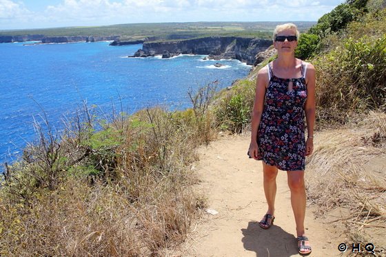 Ela am Pointe de la Grande Vigie - Guadeloupe