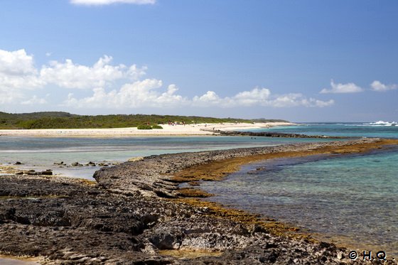 Plage Grande Anse des Salines - Guadeloupe