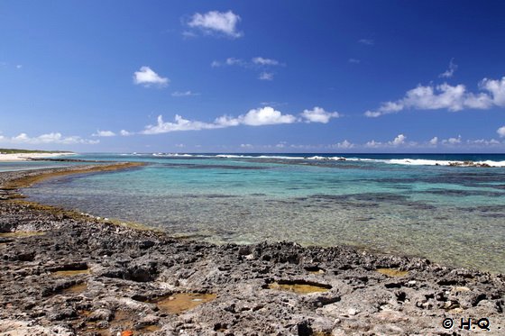 Plage Grande Anse des Salines - Guadeloupe