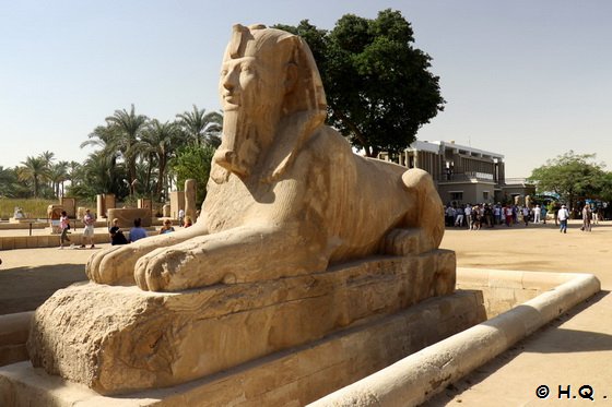 Alabastersphinx im Freilichtmuseum in Memphis gypten