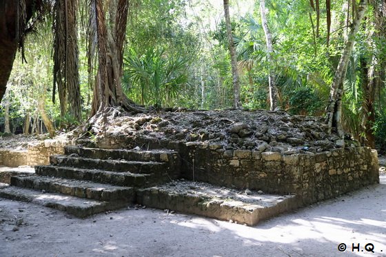 Ruiene im Urwald in der Mayastätte Chacchoben - Mexiko