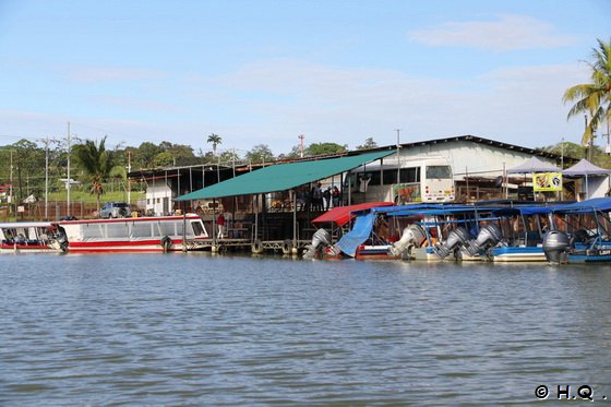 Bootsanleger für eine Fahrt durch die Tortuguero Kanäle - Puerto Limon  - Costa Rica 