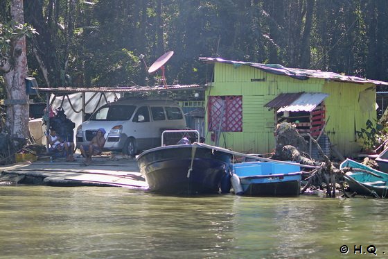 Leben am Tortuguero Kanal nahe  Puerto Limon  - Costa Rica 