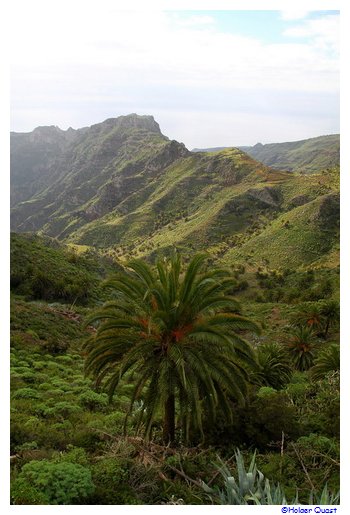 Berglandschaft auf La Gomera Berglandschaft auf La Gomera