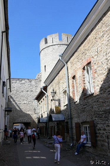 Talllinn Eingang Stadtmauer Talllinn Eingang Stadtmauer