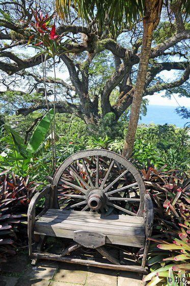 Gartenanlage Romney Manor - St. Kitts