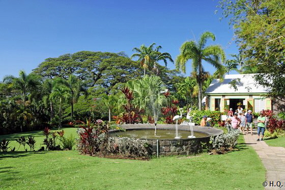 Gartenanlage Romney Manor - St. Kitts