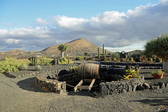 Bodegas el Grifo - La Geria - Lanzarote Bodegas el Grifo - La Geria - Lanzarote