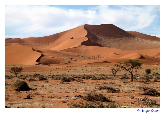 D�nenlandschaft im Namib-Naukluft Park