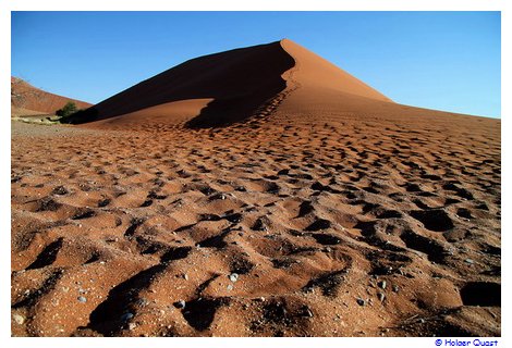 D�ne 45  auf dem Weg ins  Sossusvlei 
