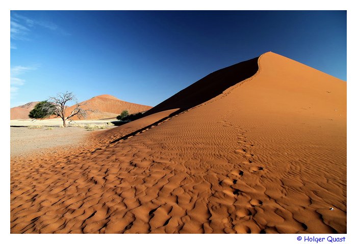 D�ne 45 - Sossusvlei - im Namib-Naukluft Park