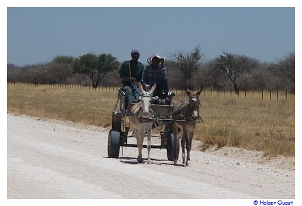 Eselkarre - Namibia