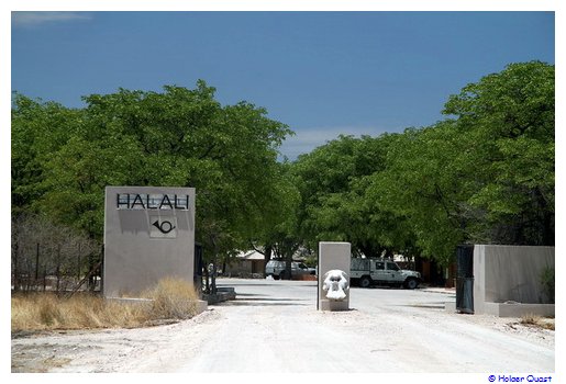 Camp Halali - Etosha Nationalpark Camp Halali - Etosha Nationalpark