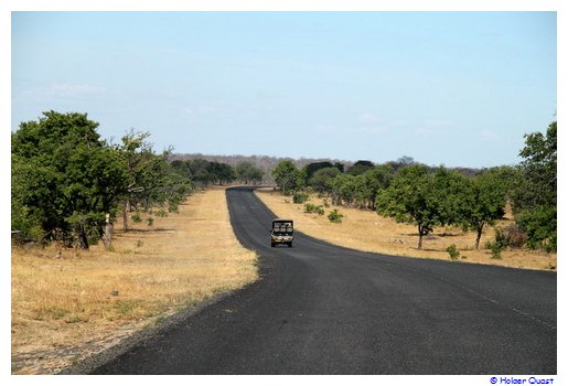 Chobe National Park Transitstrecke nach Kasane