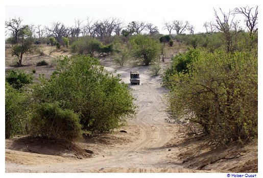 Chobe Riverfront im Chobe Nationalpark Chobe Riverfront im Chobe Nationalpark