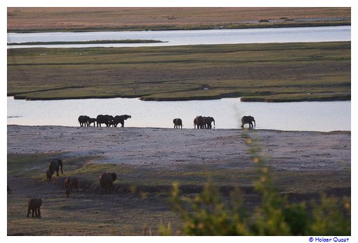 Elefanten am Chobe River