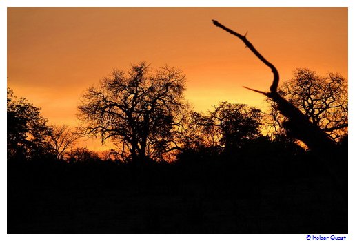 Sonnenuntergang im Chobe Nationalpark Sonnenuntergang im Chobe Nationalpark