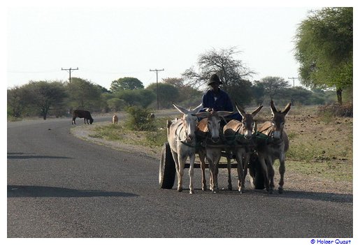 Einfahrt nach Maun... Einfahrt nach Maun...