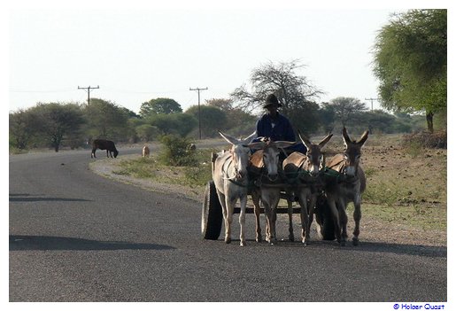 Einfahrt nach Maun...