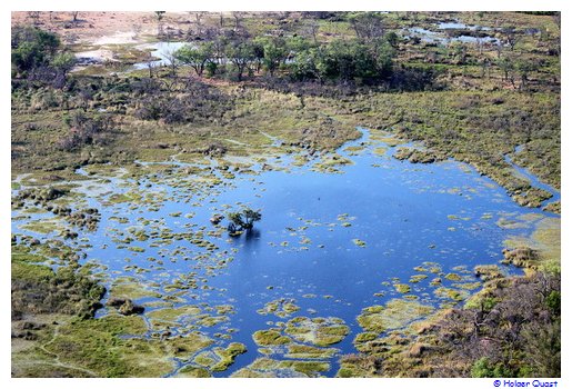 Okavangodelta Scenic Flight