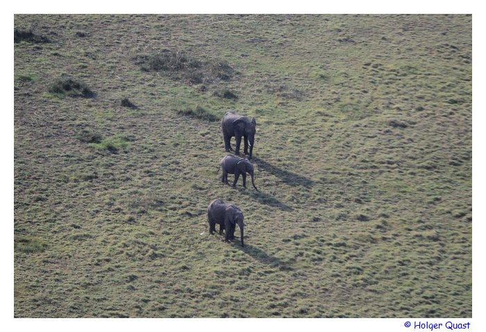 Okavangodelta Rundflug