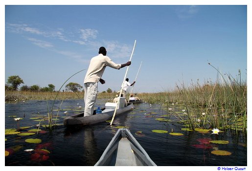 Mokoro Tour im Okavangodelta