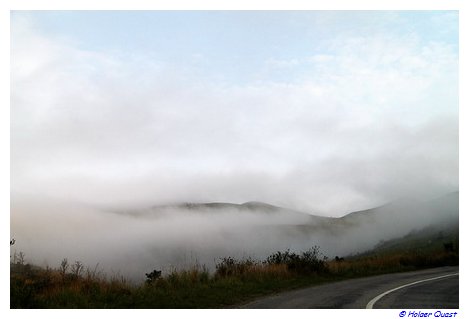 Nelbel auf der Panorama Route