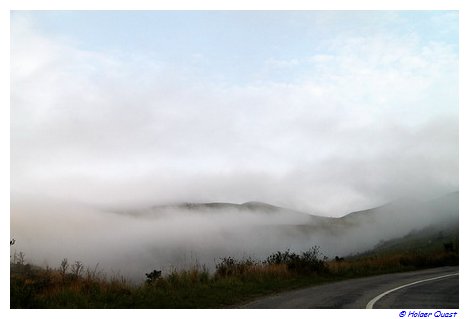 Nelbel auf der Panorama Route