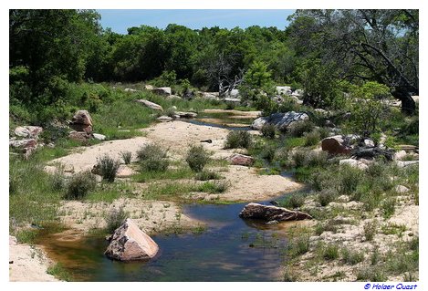 Landschaft  Kruger National Park