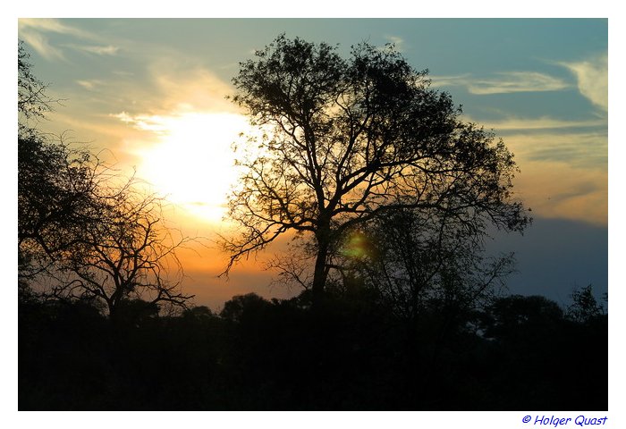 Sonnenuntergang im Kruger National Park Sonnenuntergang im Kruger National Park