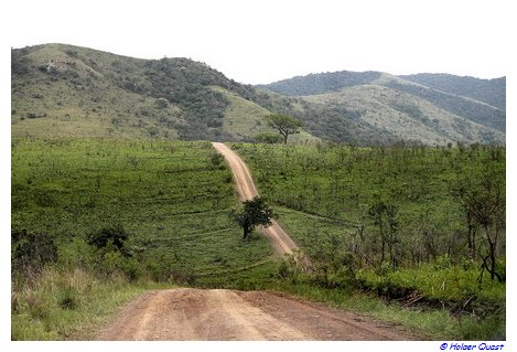 Landschaft im Hluhluwe-Umfolozi-Park