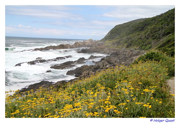 Auf dem Otter Trail - Waterfall Trail -  Garden Route National Park