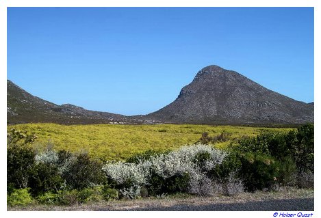 Table Mountain National Park